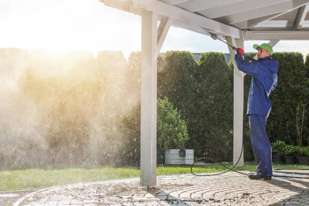 Best Sidewalk and Walkway Cleaning  in Clarinda, IA
